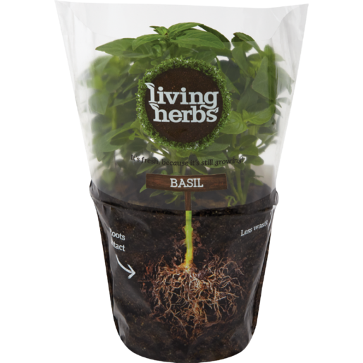 Living Herbs Basil Plant Packaging PNG