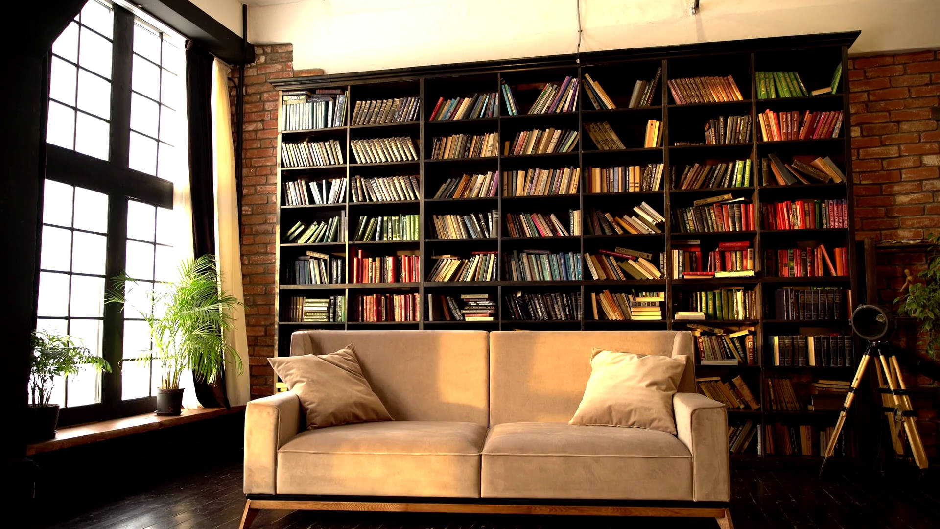 Living Room With Big Bookshelf Wallpaper