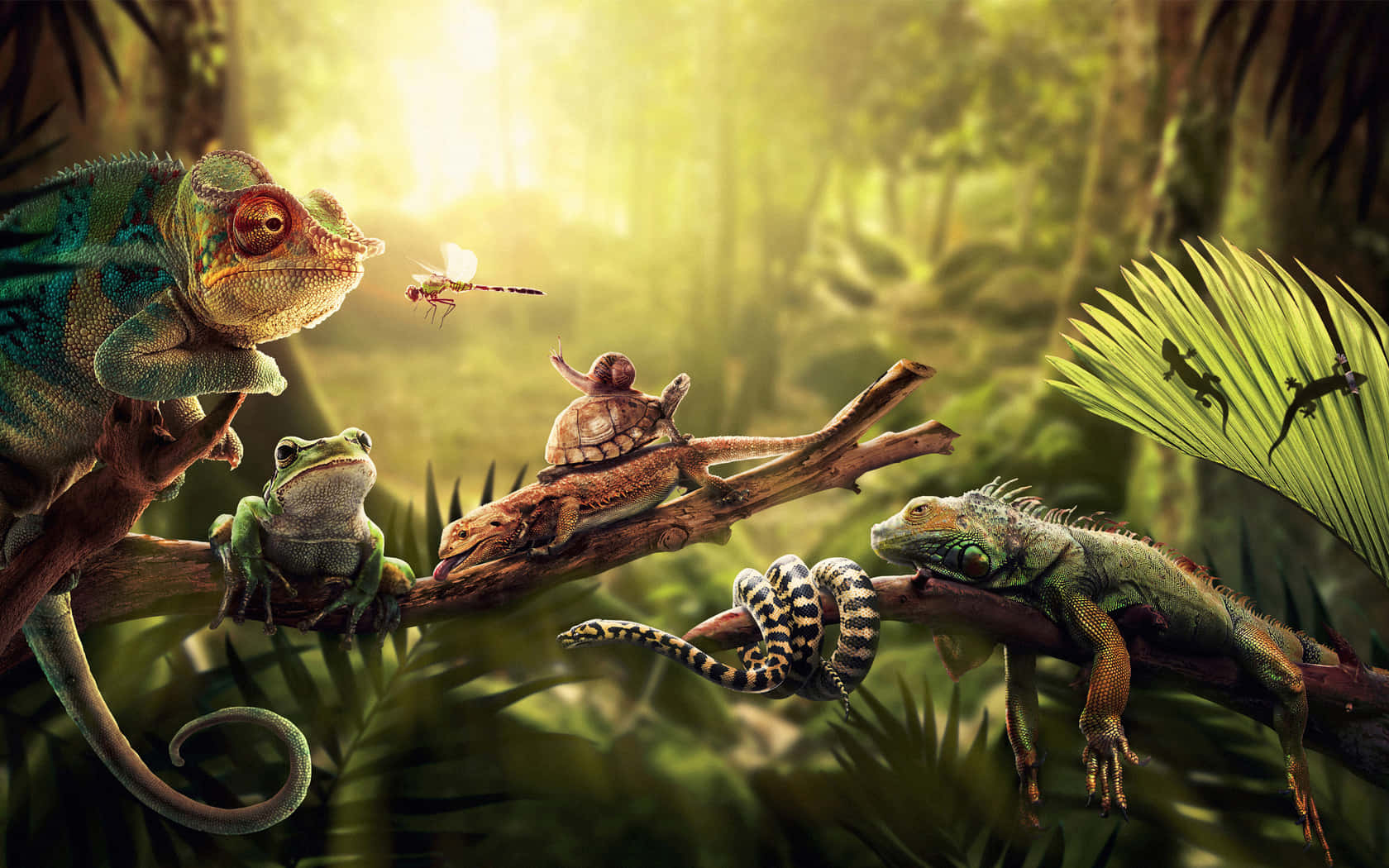 Lizard And Forest Animals Picture