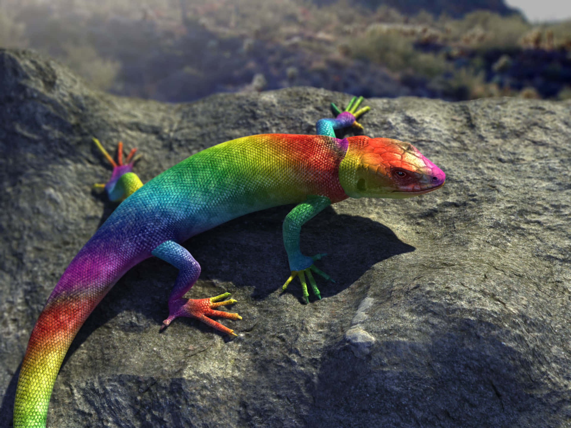 Colorful Rainbow Lizard Picture