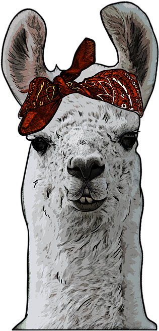 Llamawith Red Bandana PNG