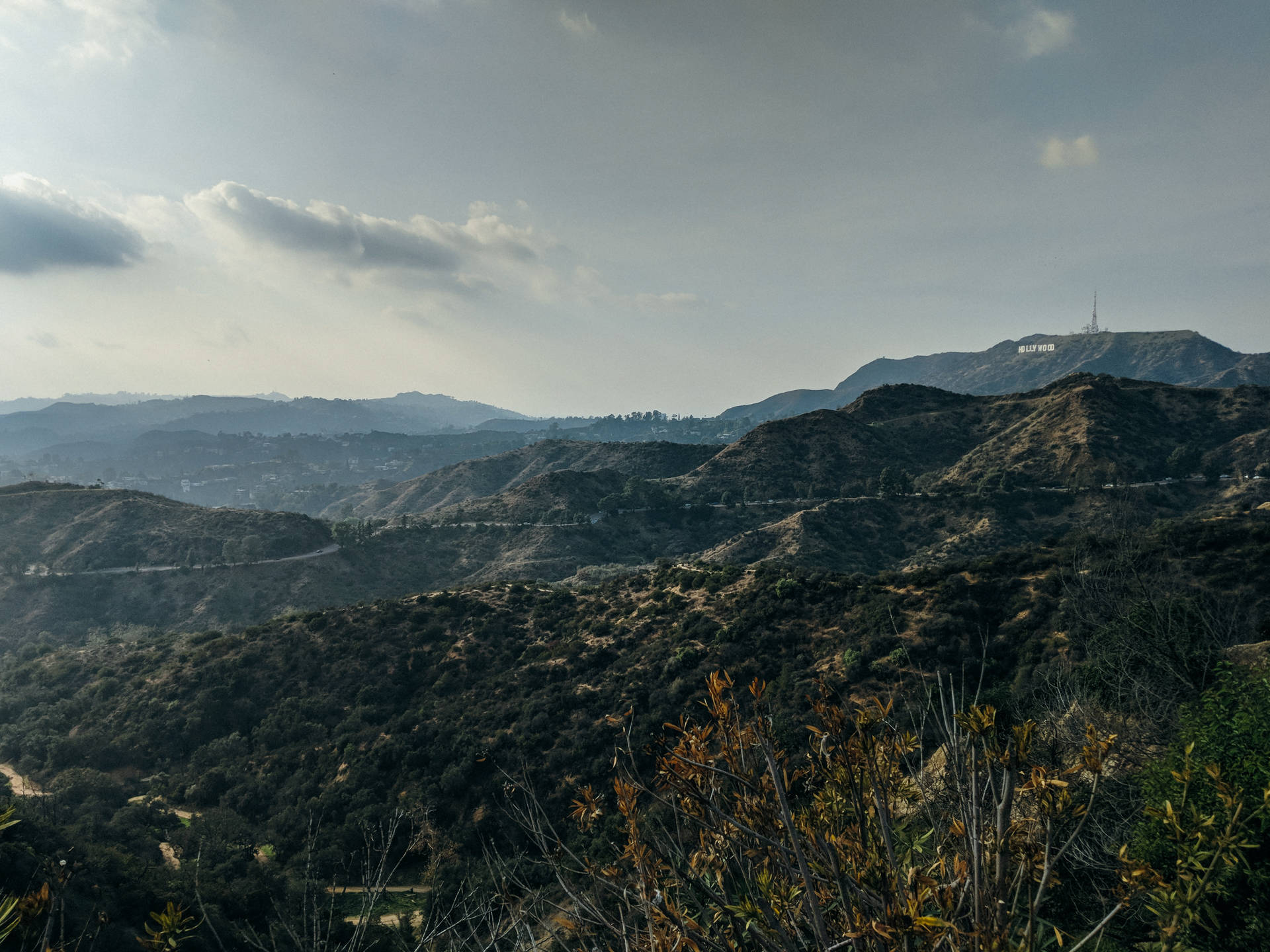 Lo Fi Hollywood Mountain Range