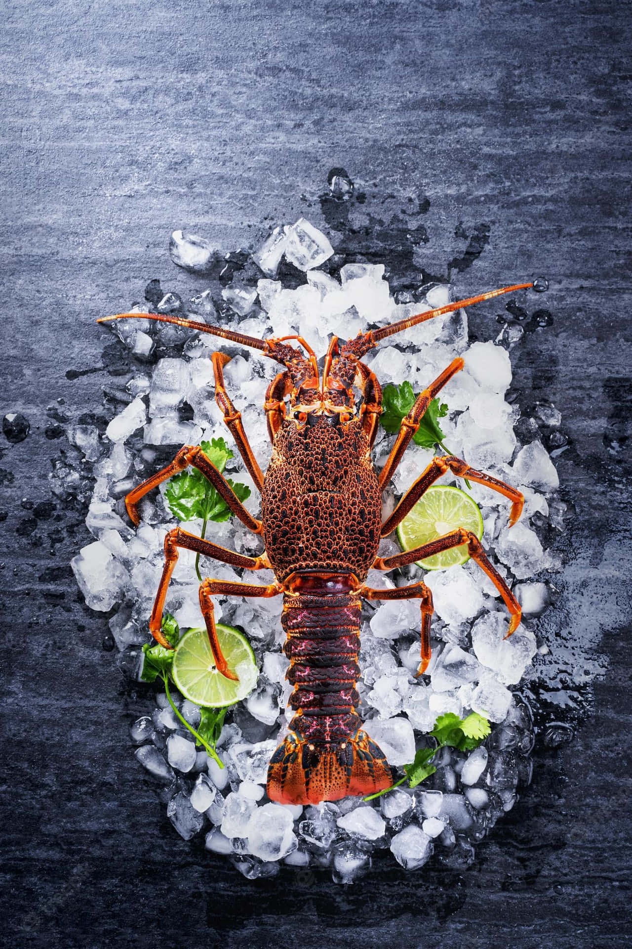 A Tasty Lobster in a Rustic Dish
