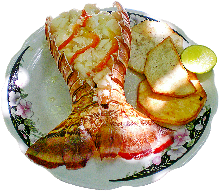 Lobster Dish Gourmet Experience PNG