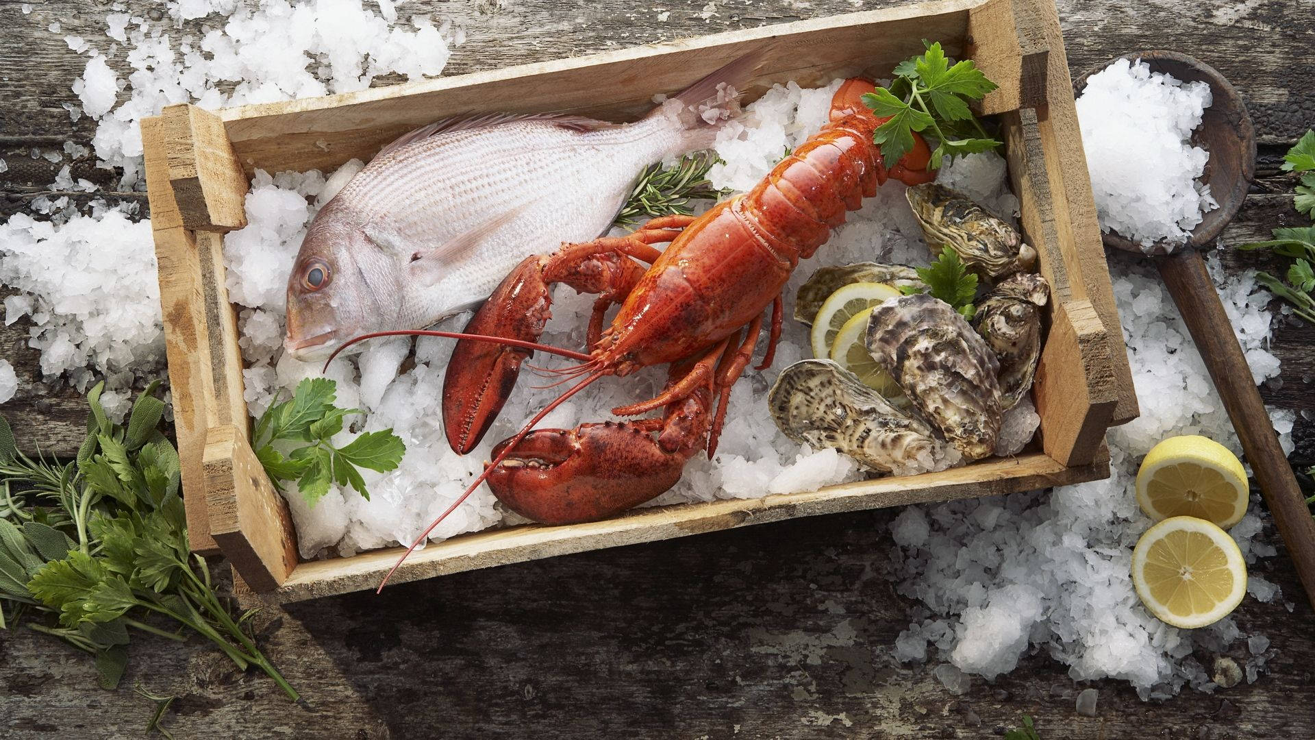 Lobster On Crate Full Of Ice