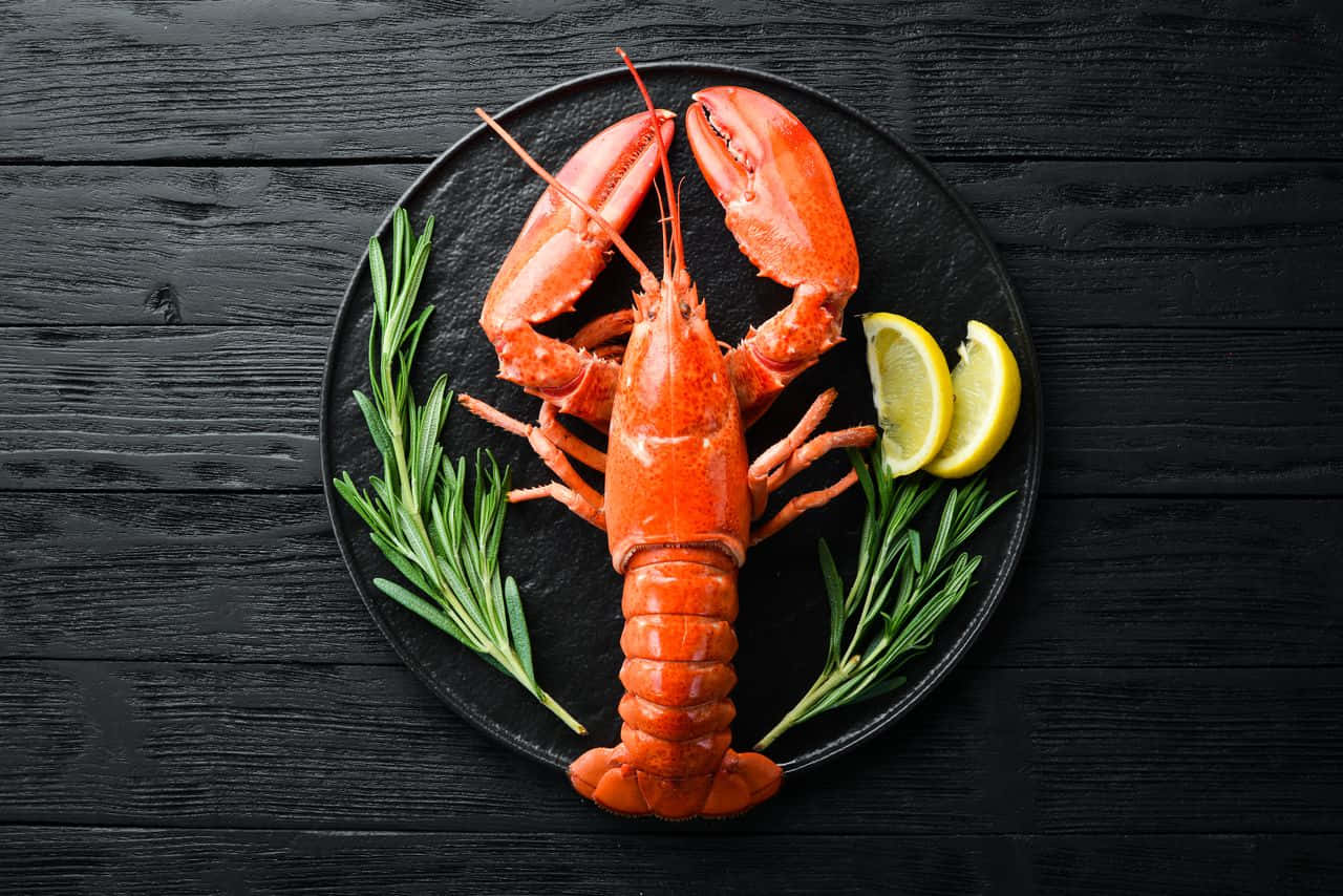 “A delicious and intricate feast of lobster”