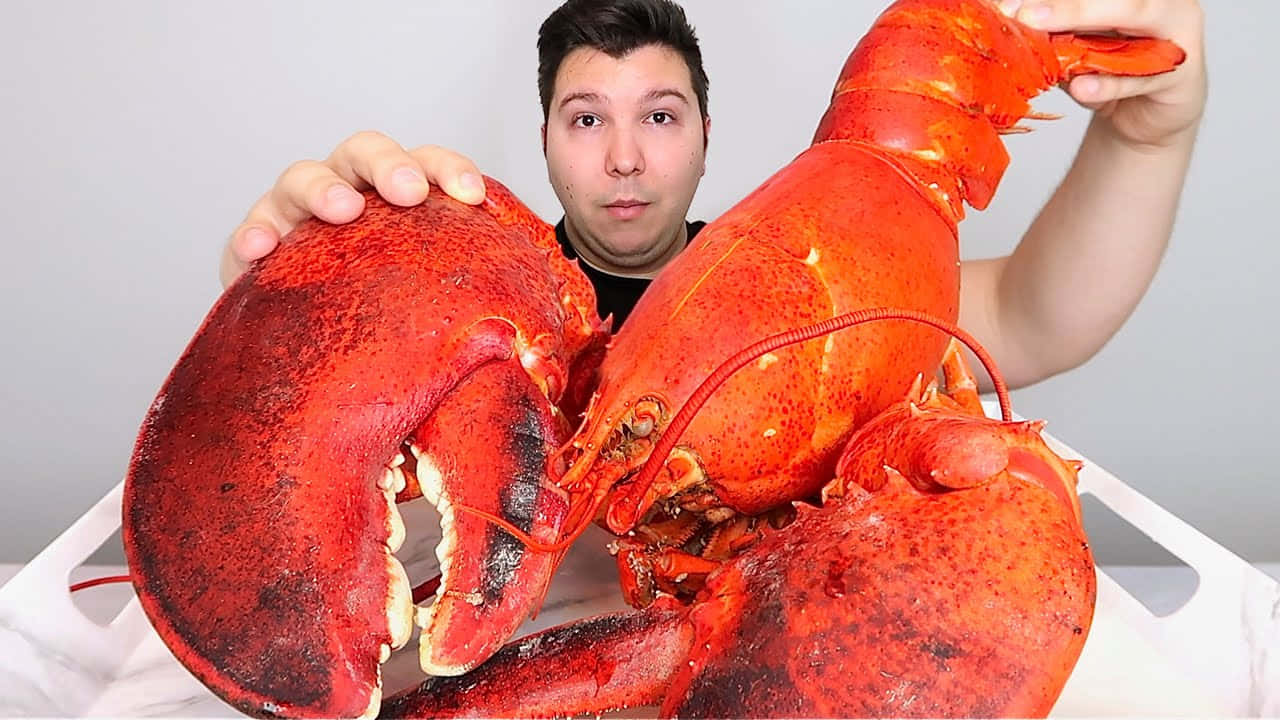 A freshly cooked warm Lobster