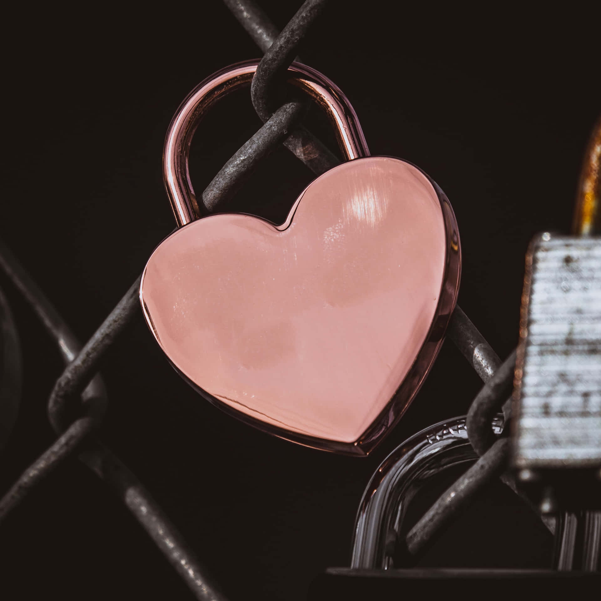 A Heart Shaped Padlock Is Attached To A Chain Link Fence