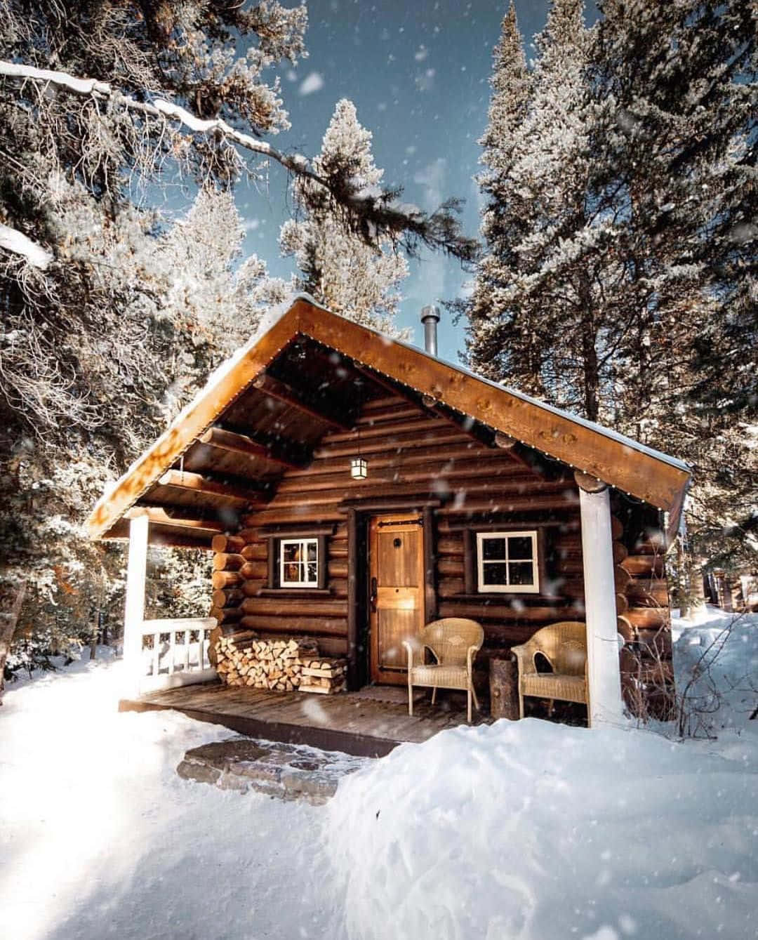 A cozy log cabin in the woods on a beautiful sunny day.