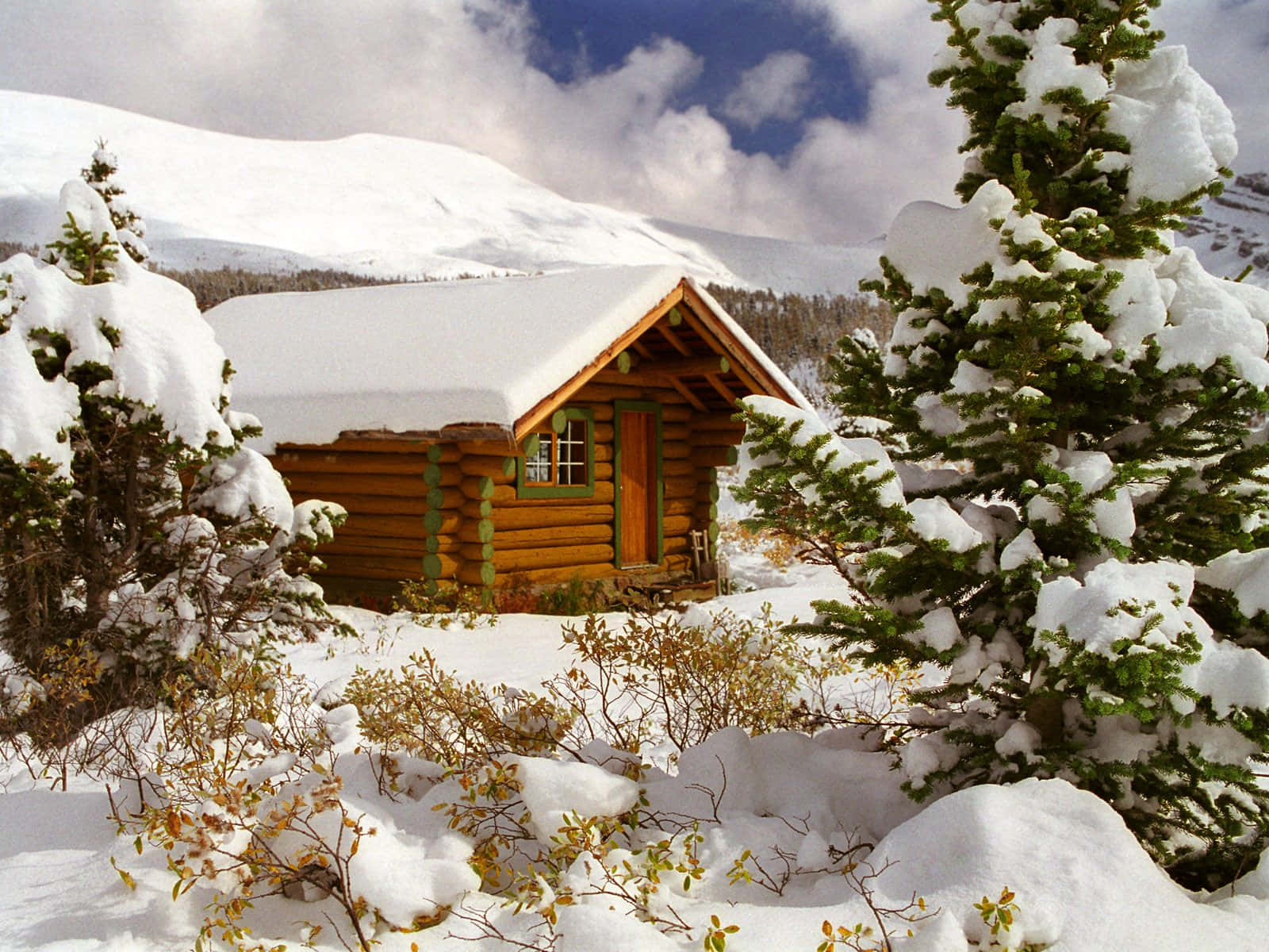 Cozy and Comfortable Rustic Log Cabin