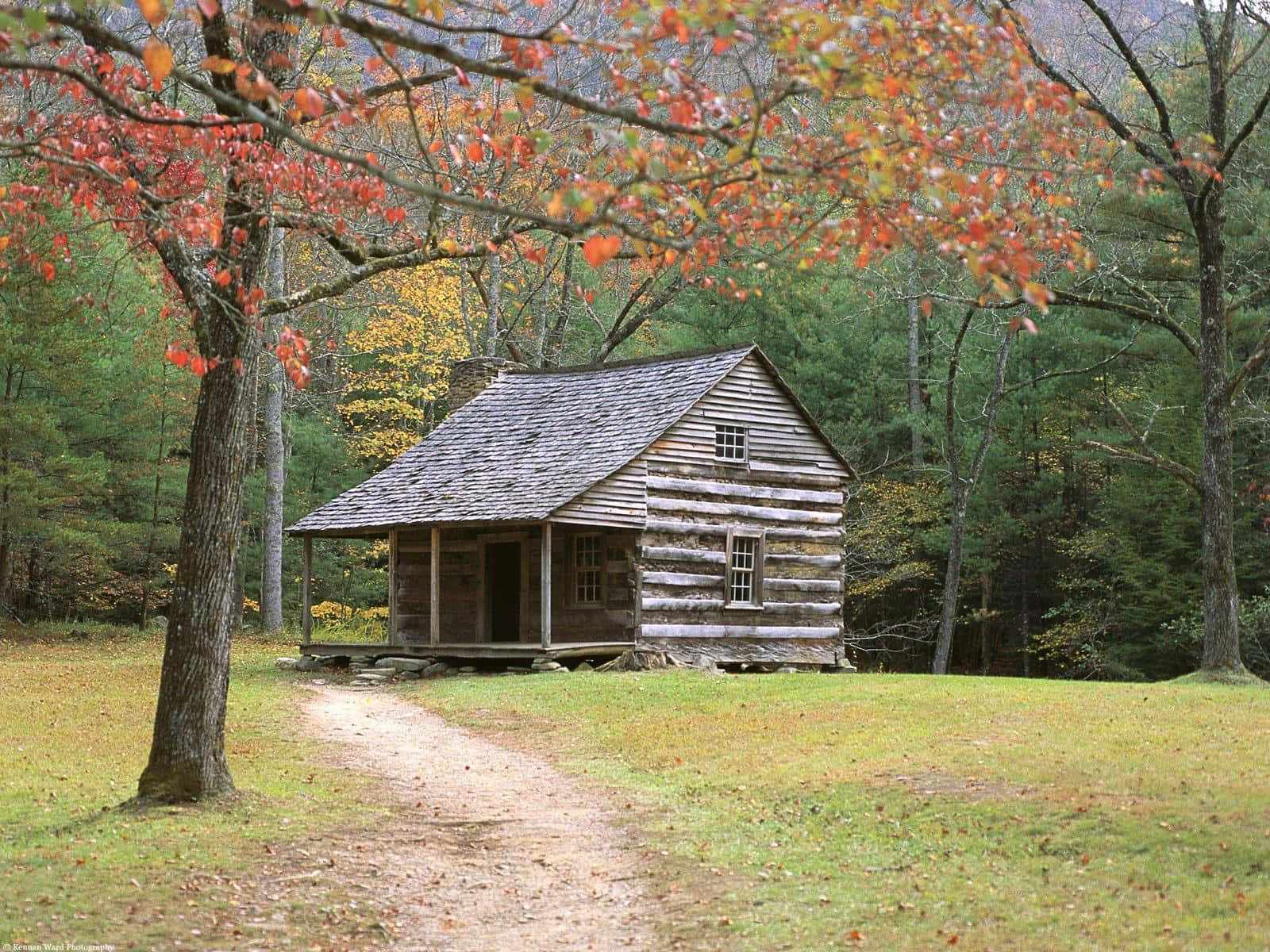 Cozy Log Cabin in Grassy Meadows