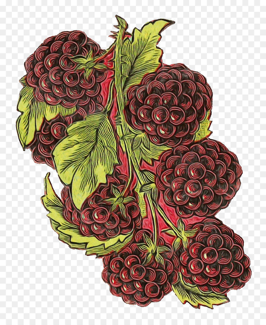 Loganberries Drawing Wallpaper