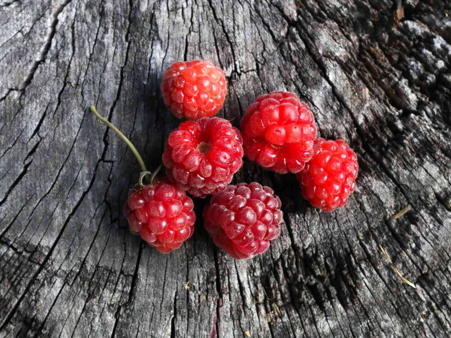 Loganberries On A Wooden Surface Wallpaper