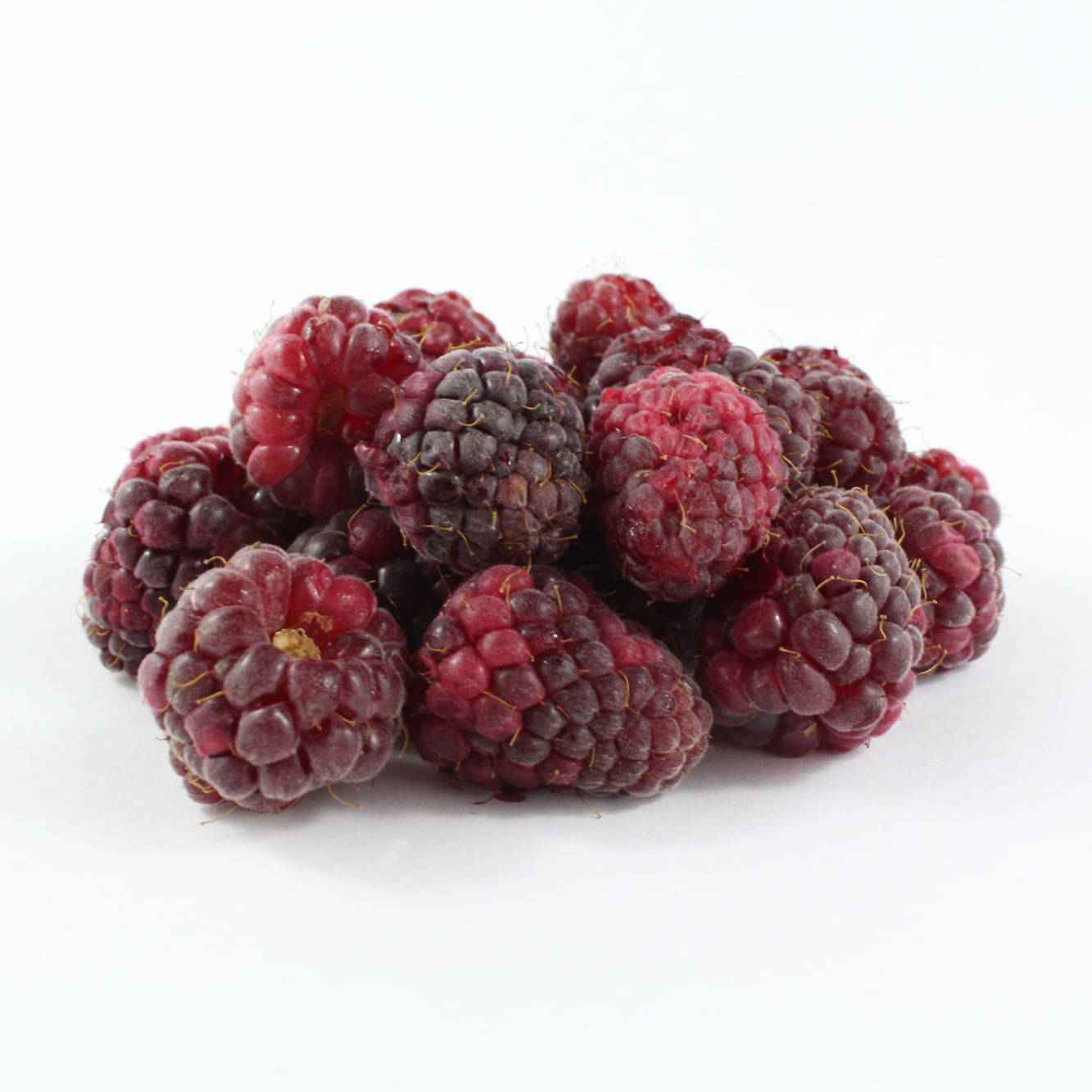 Loganberries Photo Wallpaper