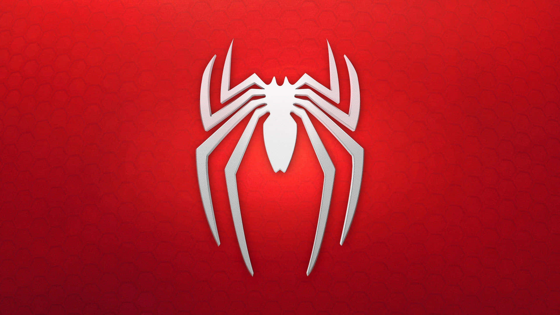 Logo Background