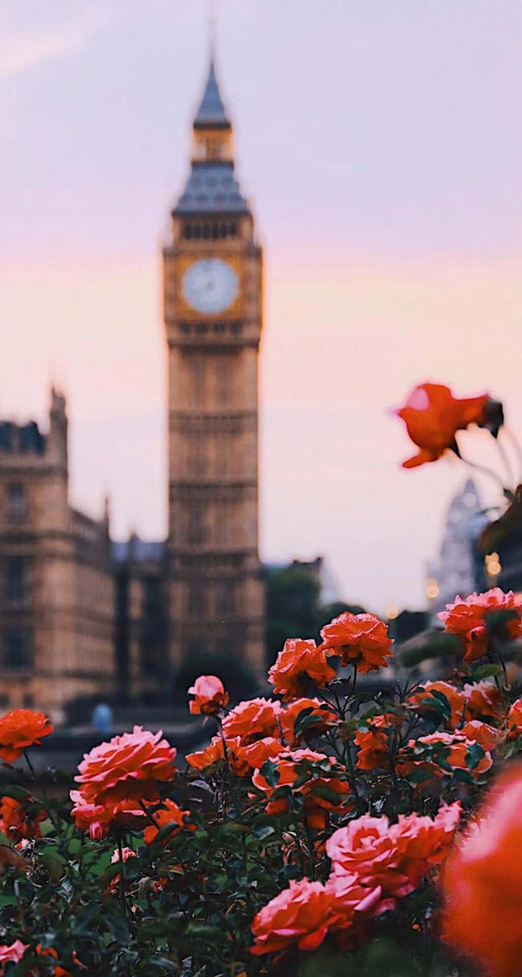Explore the beautiful city of London through an iPhone Wallpaper