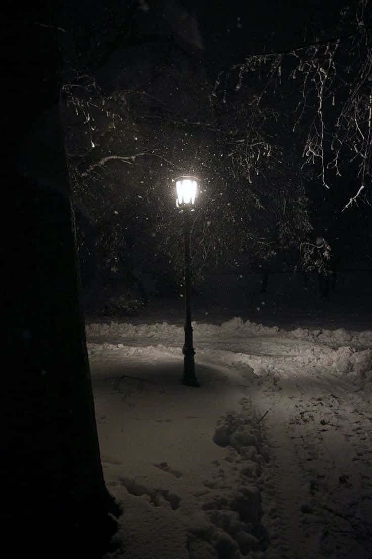 Lone_ Lamp_ Post_in_ Snowy_ Night Wallpaper