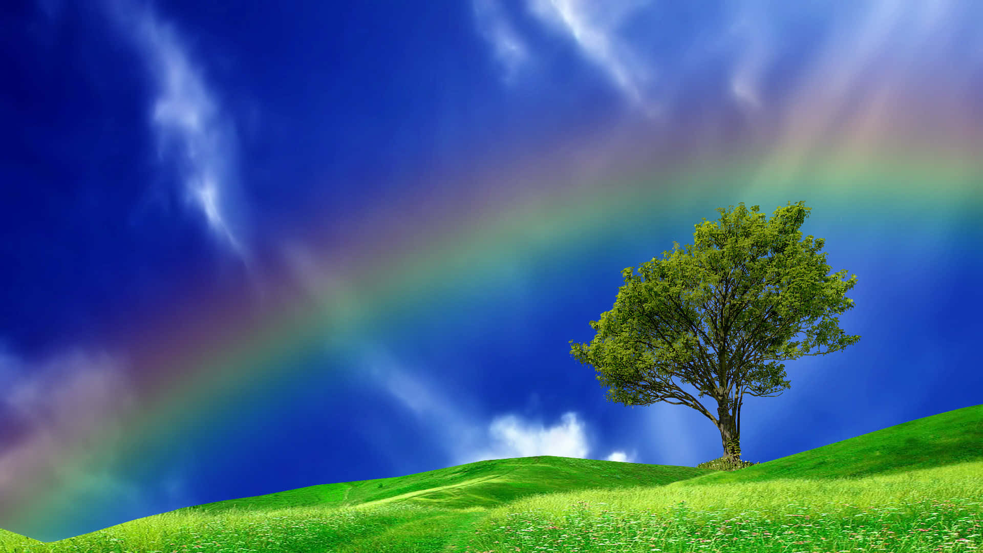 Lone_ Tree_ Under_ Rainbow Wallpaper