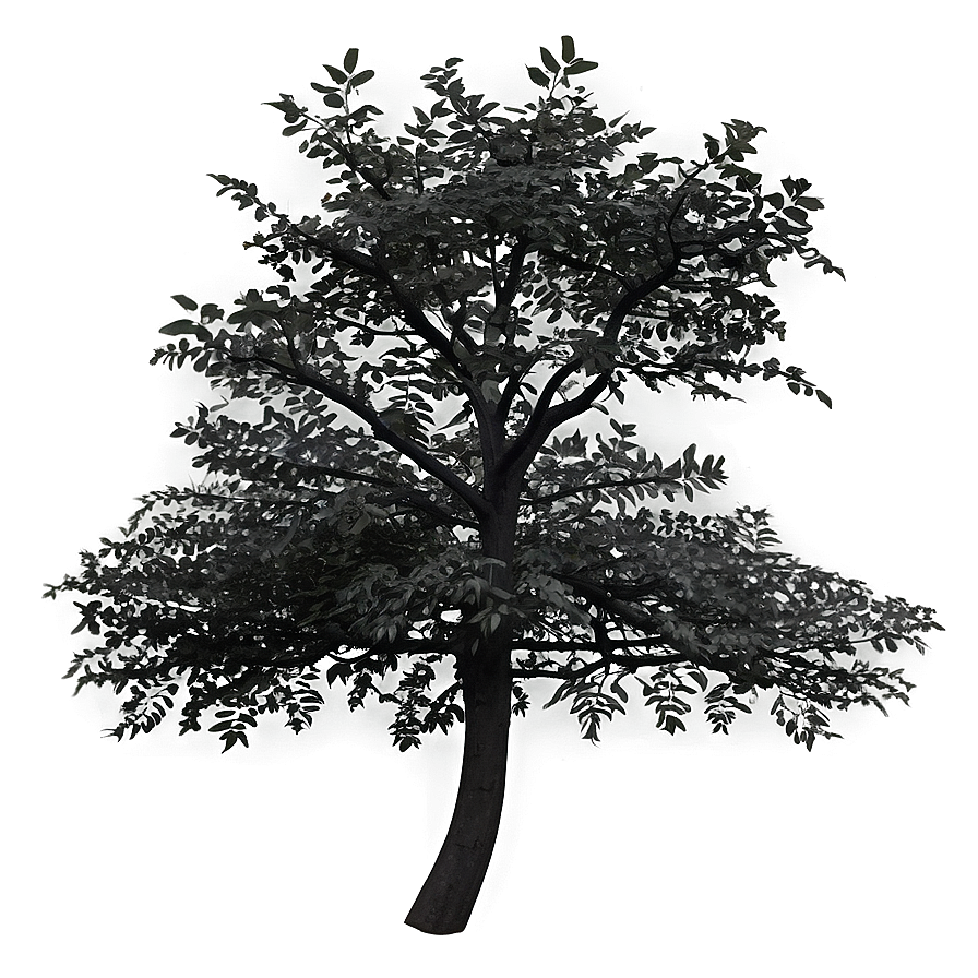 Lonely Black Tree Png 14 PNG