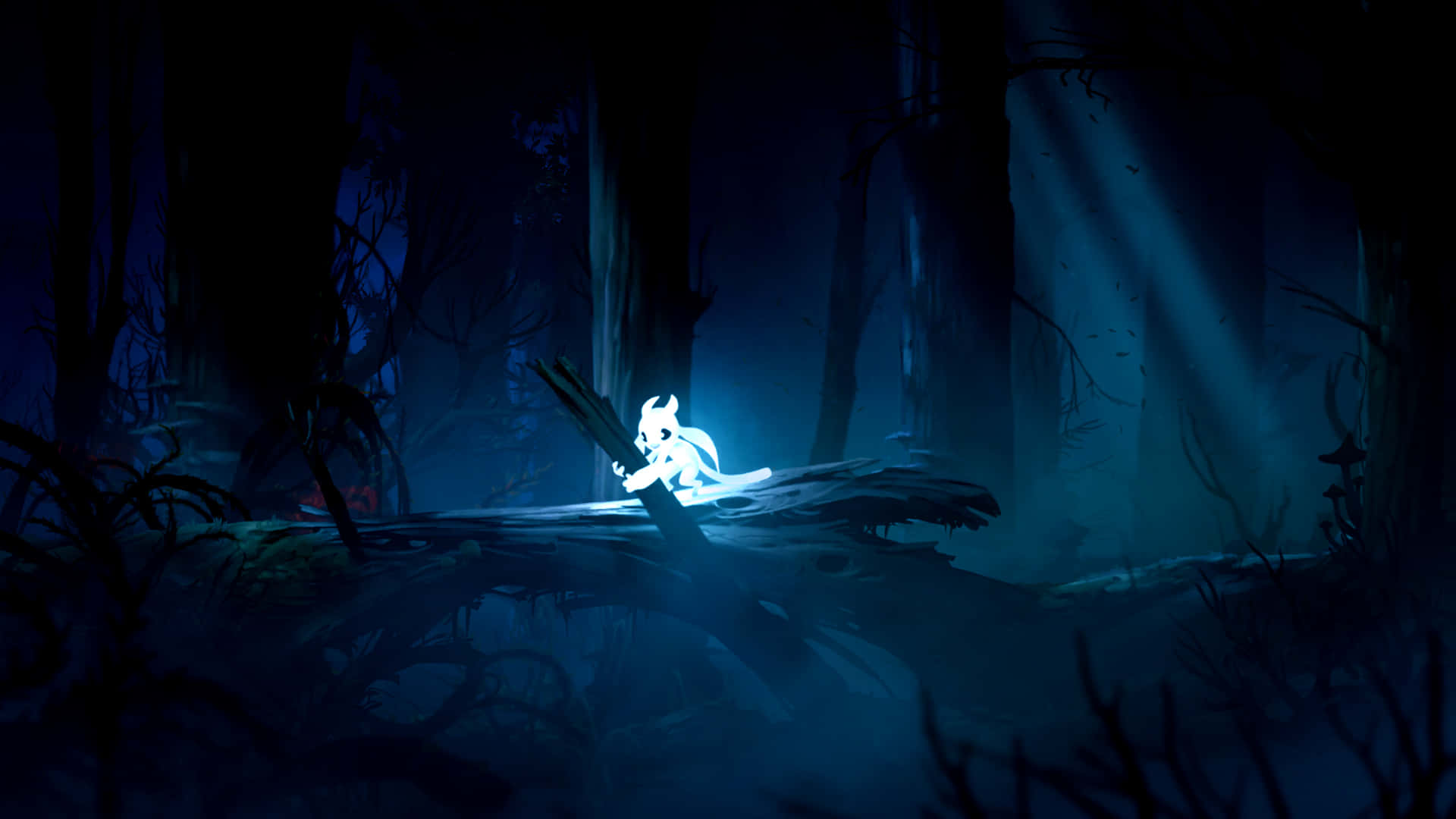 Lonely Cartoon Characterin Forest Night Wallpaper