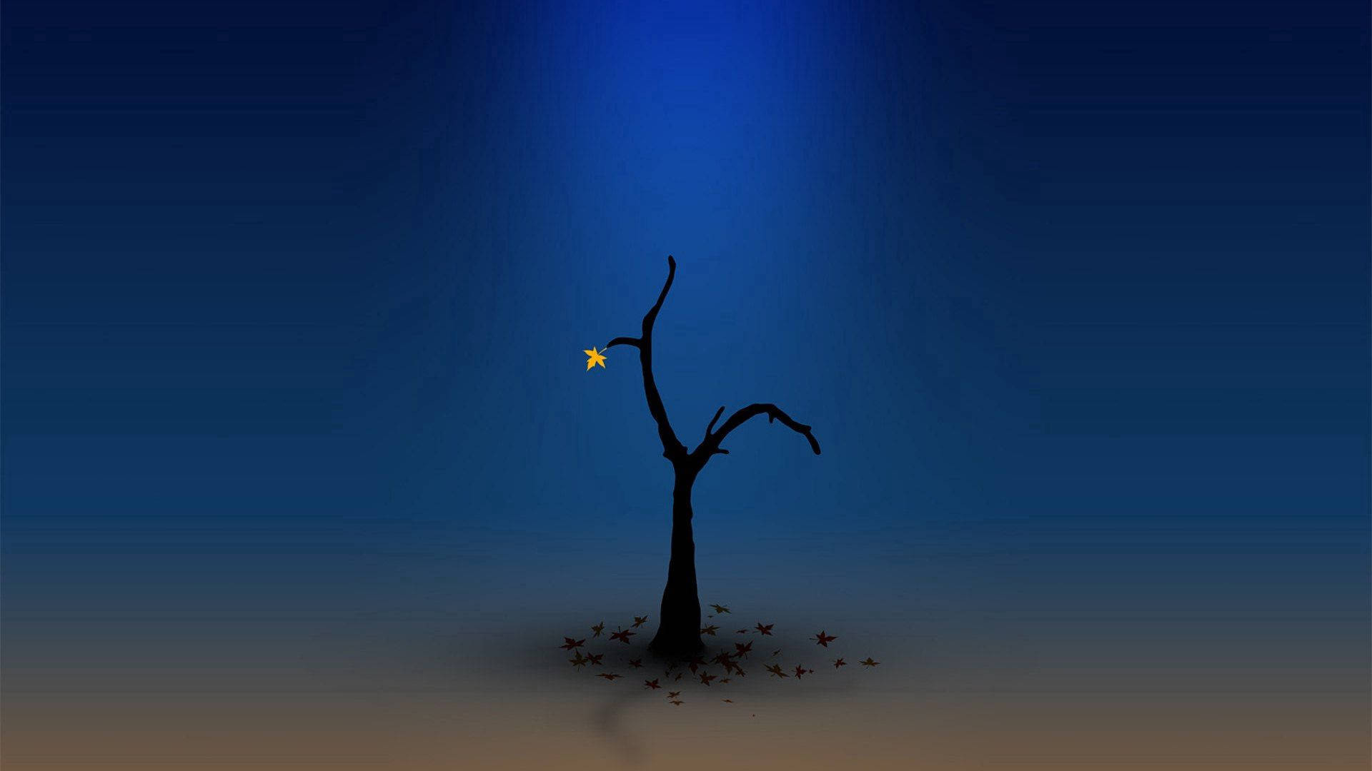 A solitary tree stands in a dark blue twilight Wallpaper