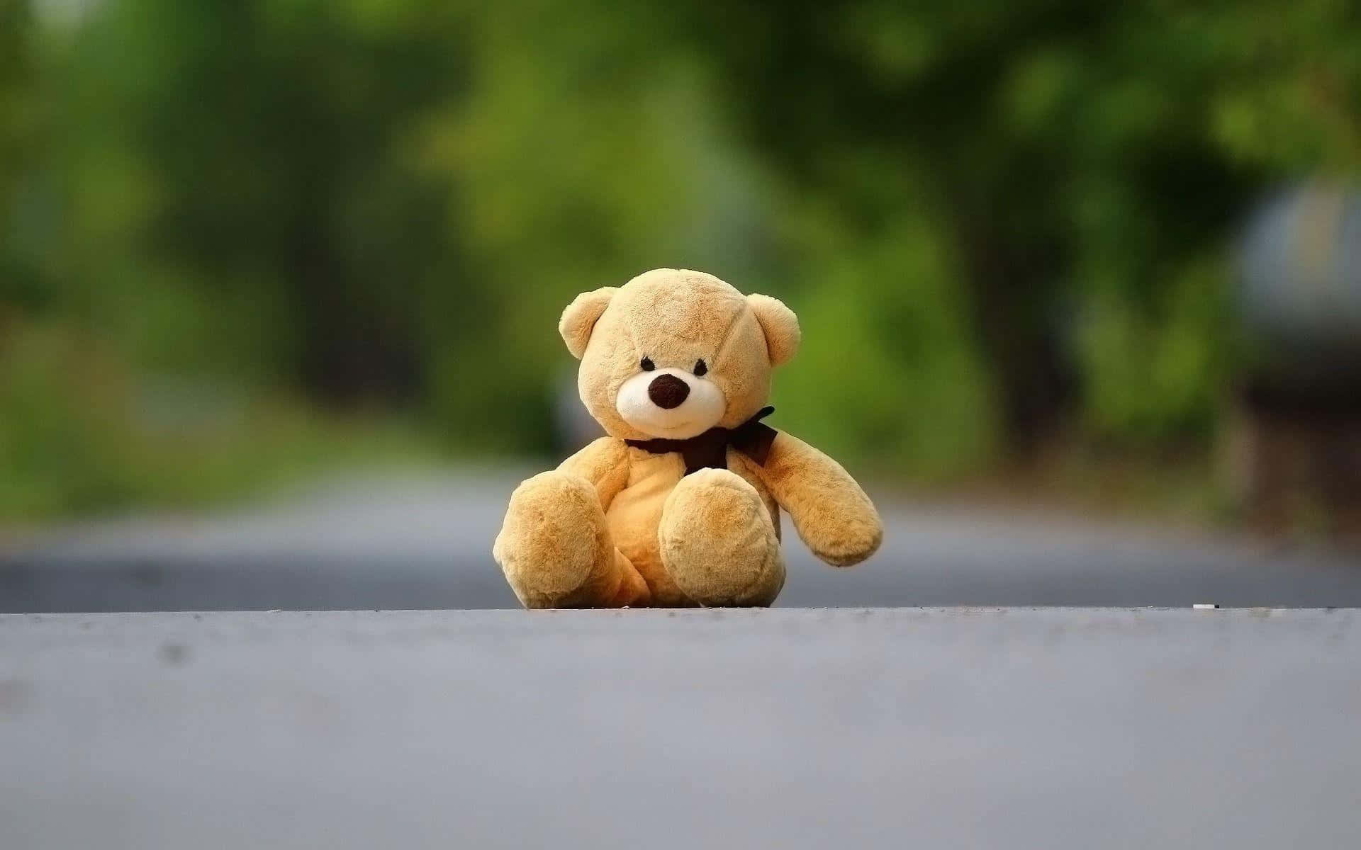 Lonely Teddy Bear On Road.jpg Wallpaper