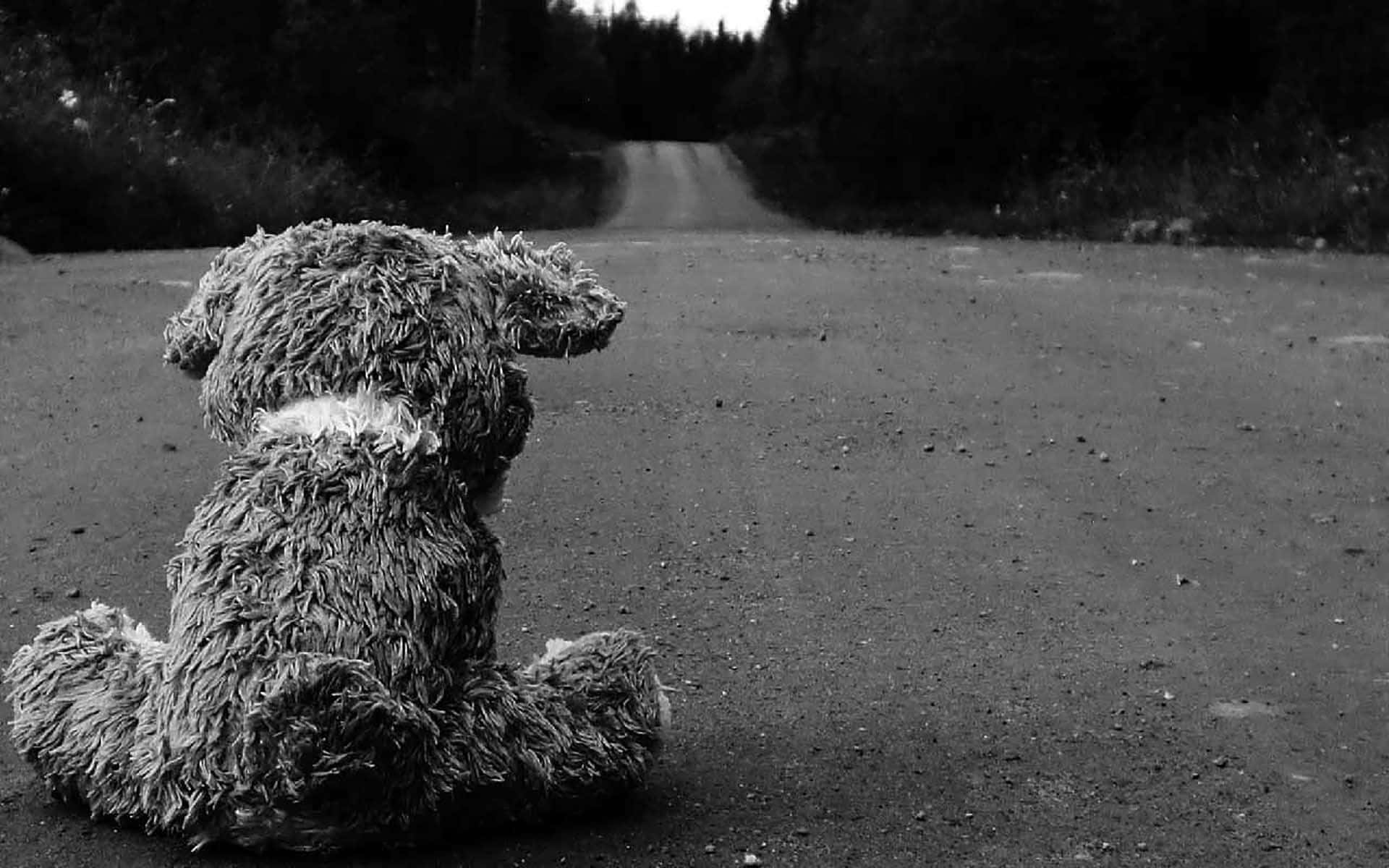 Eenzaam Speelgoed Hond Op De Weg Achtergrond