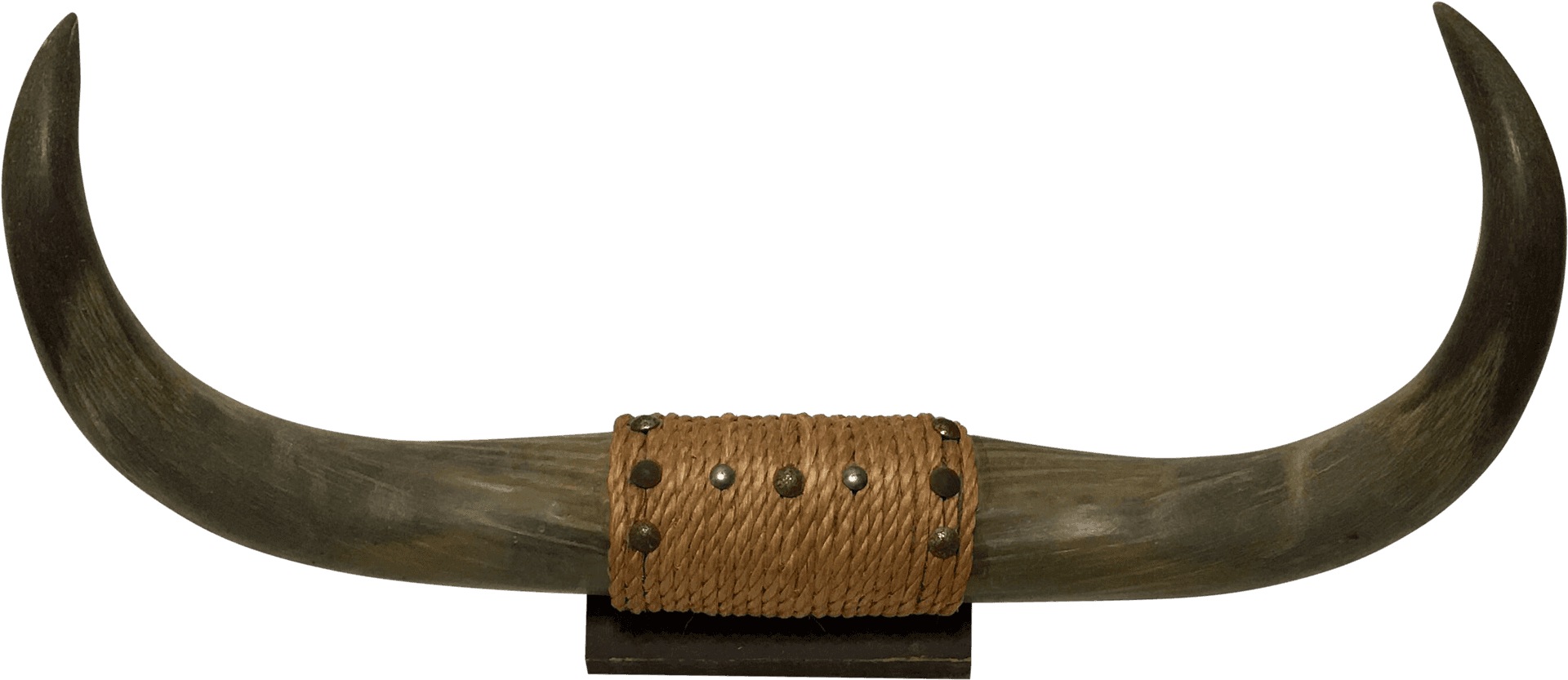 Long Curved Hornswith Leather Band PNG