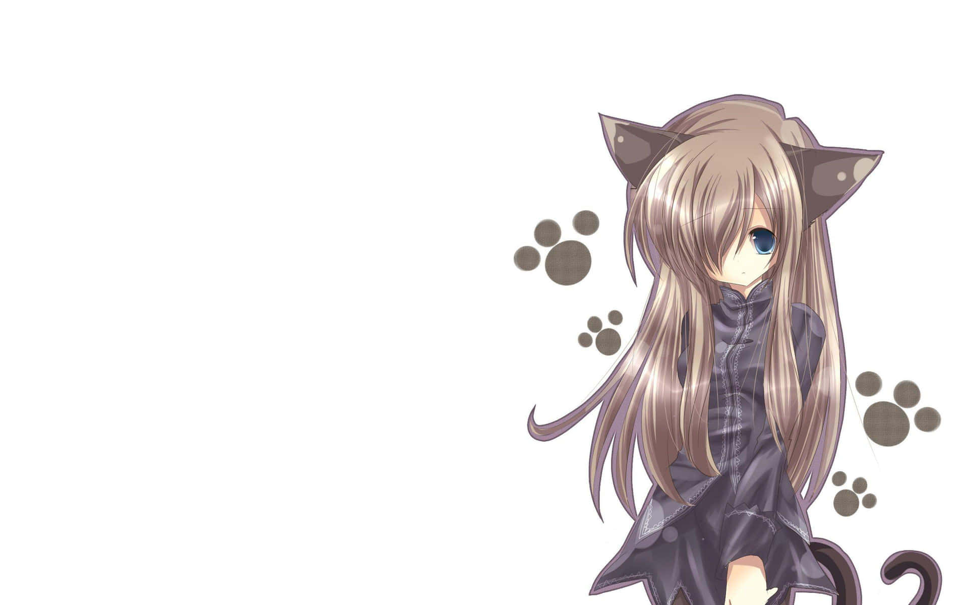 Long Haired Anime Neko Girl Wallpaper