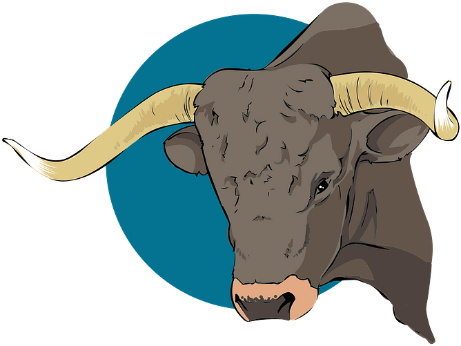 Long Horned Bull Illustration.png PNG