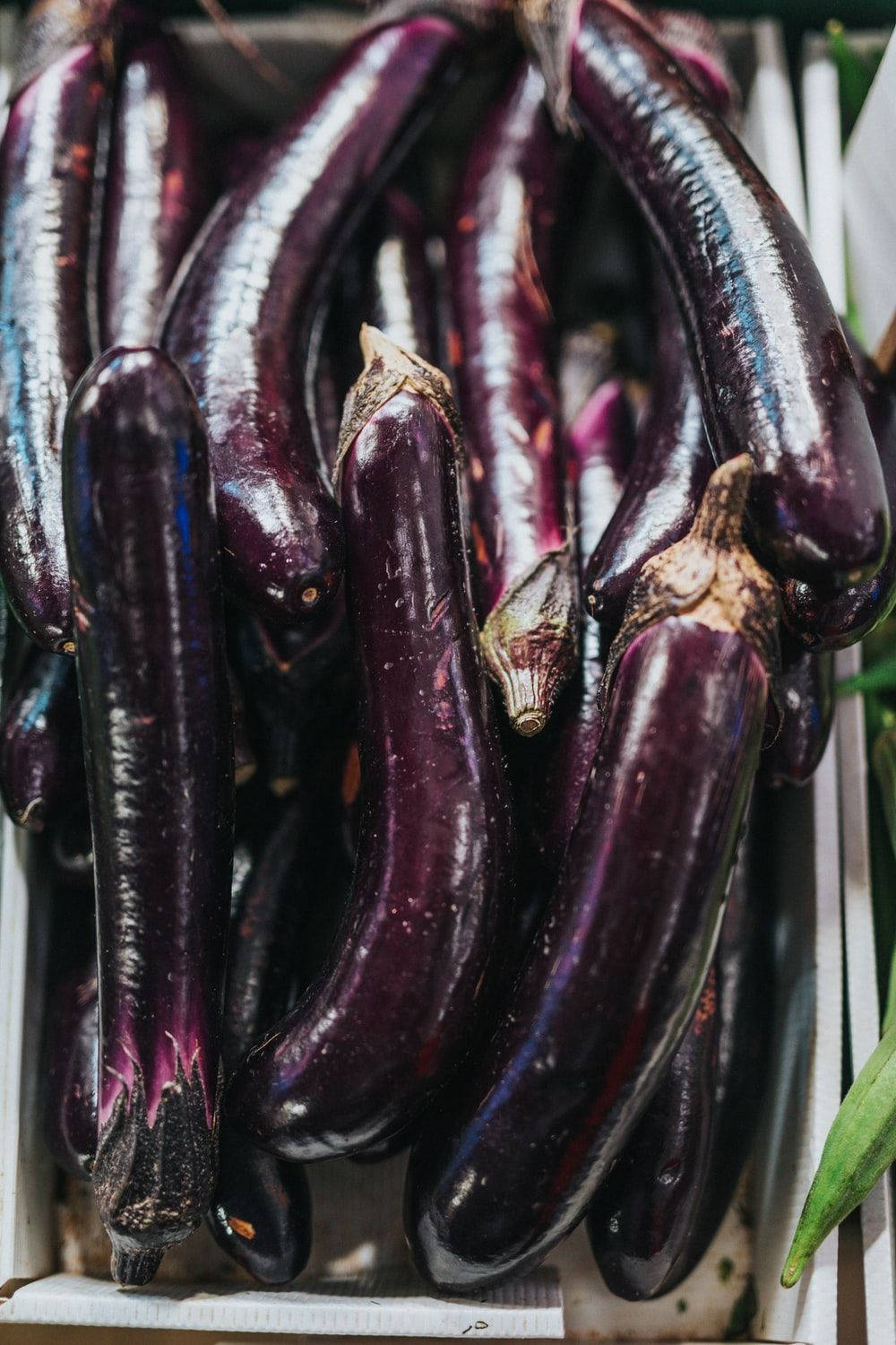 Long Purple Eggplant Fruits Wallpaper