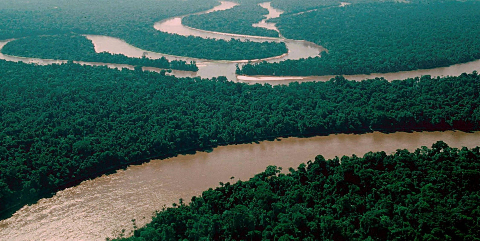 Amazonas'en Langes Flod Fremhæver et Majestætisk Motiv. Wallpaper