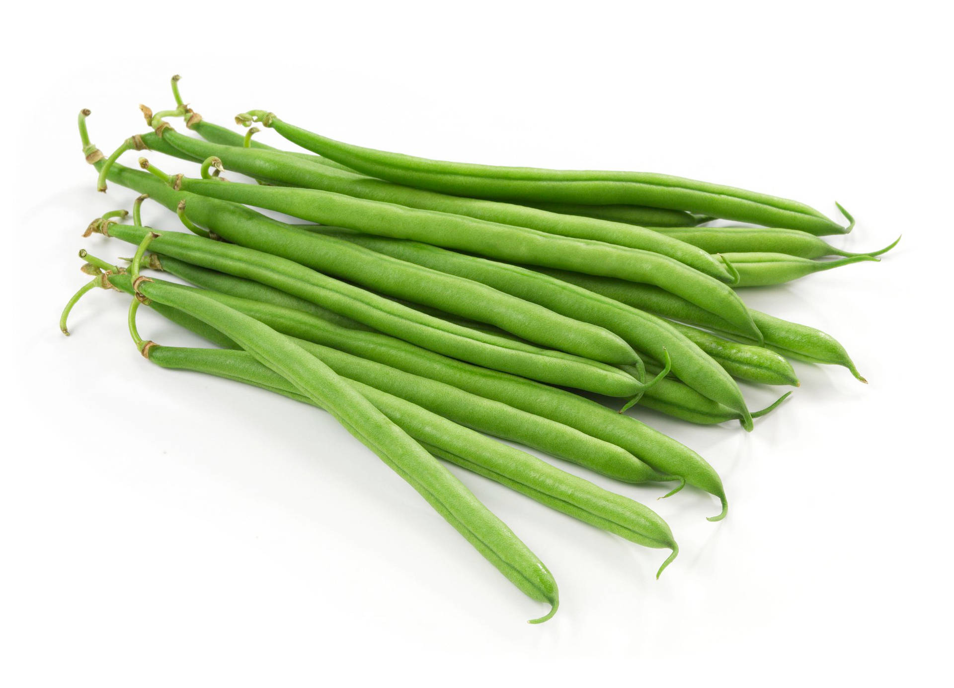 Long Stalked String Beans Picture