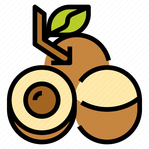 Un graphique vectoriel stylisé du fruit longane, un entier avec une feuille et une tige, et un autre coupé en deux révélant la graine.