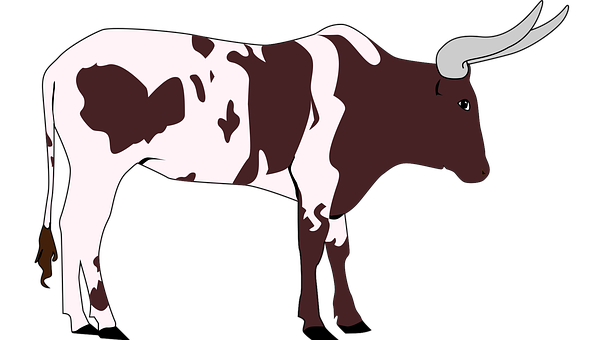 Longhorn Cattle Illustration PNG