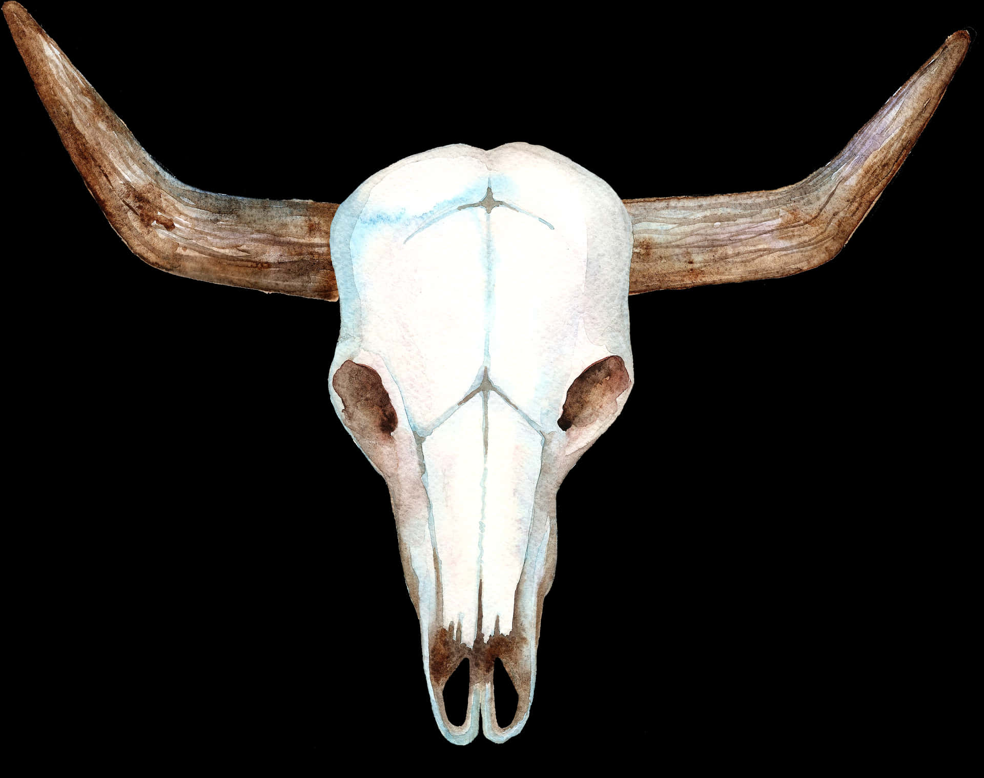 Longhorn Skull Watercolor Artwork PNG