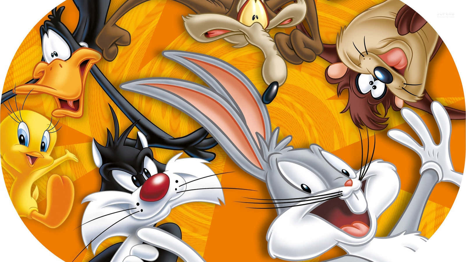 Every cartoon fan's dream, a Looney Tunes paradise!