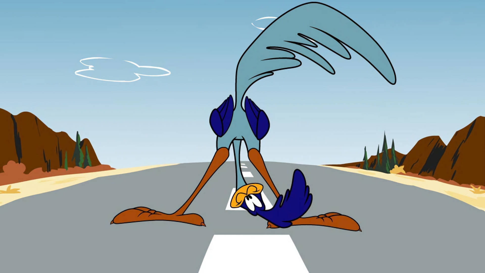 Looney Tunes Road Runner Wallpaper