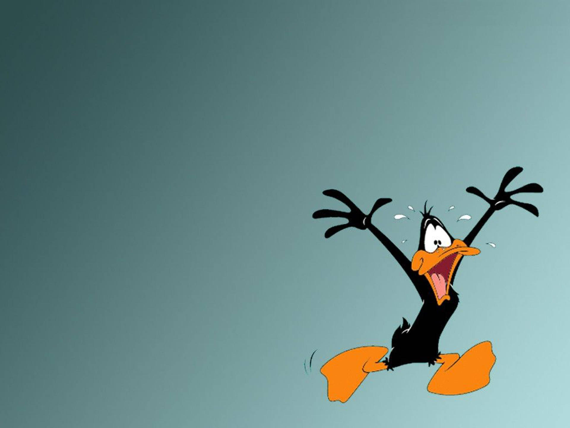 Looney Tunes Running Daffy Duck Wallpaper
