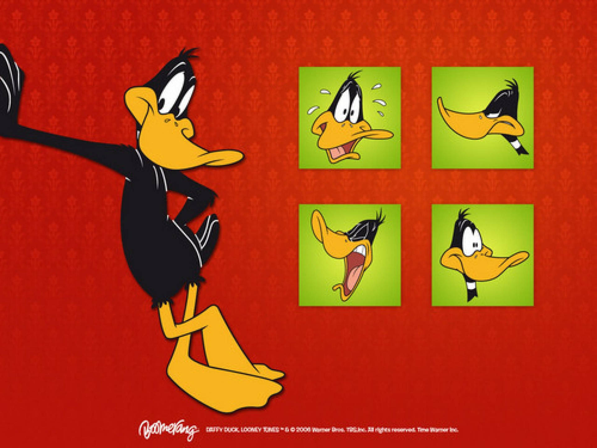 Download Daffy Duck Wallpaper