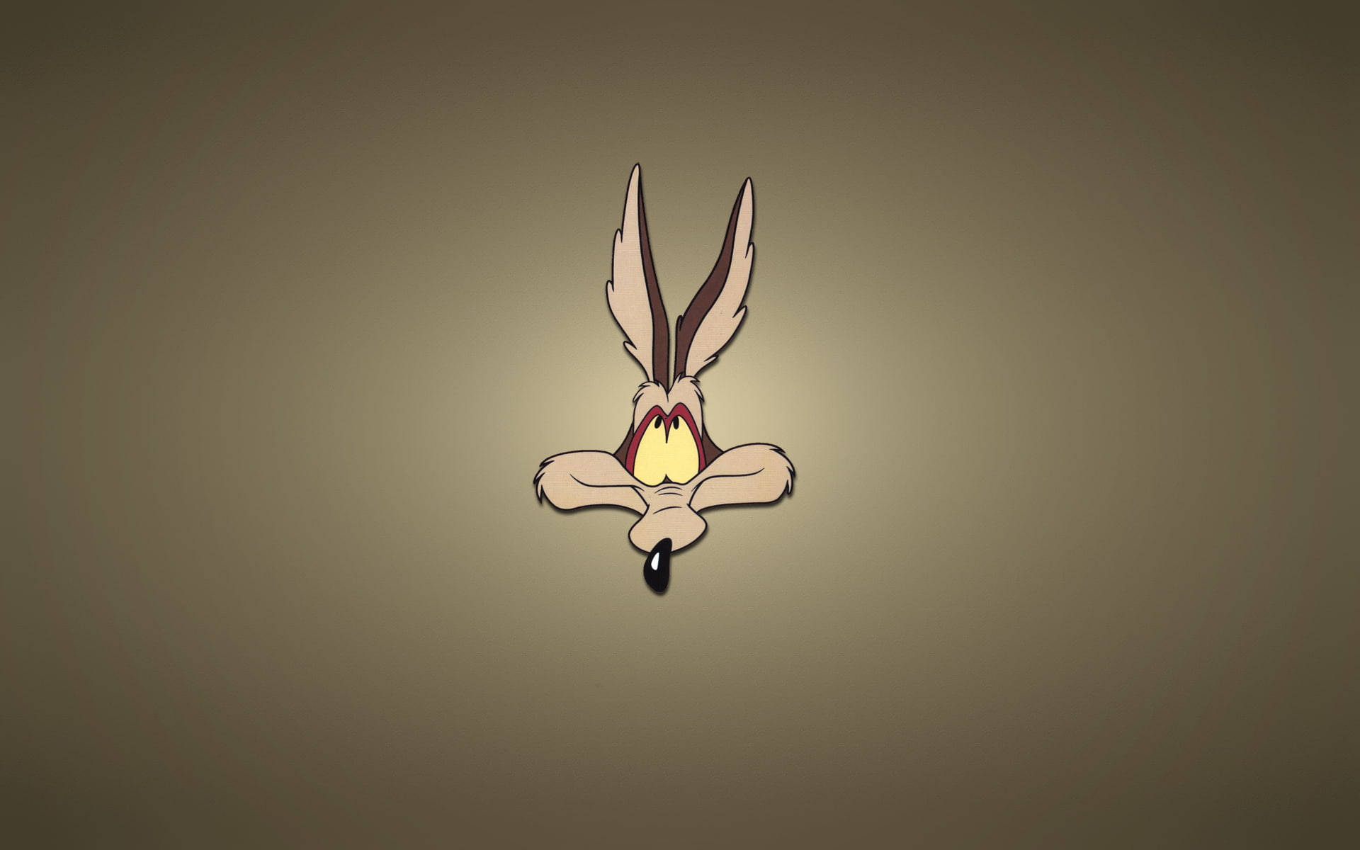 Looney Tunes Wile E. Coyote Background