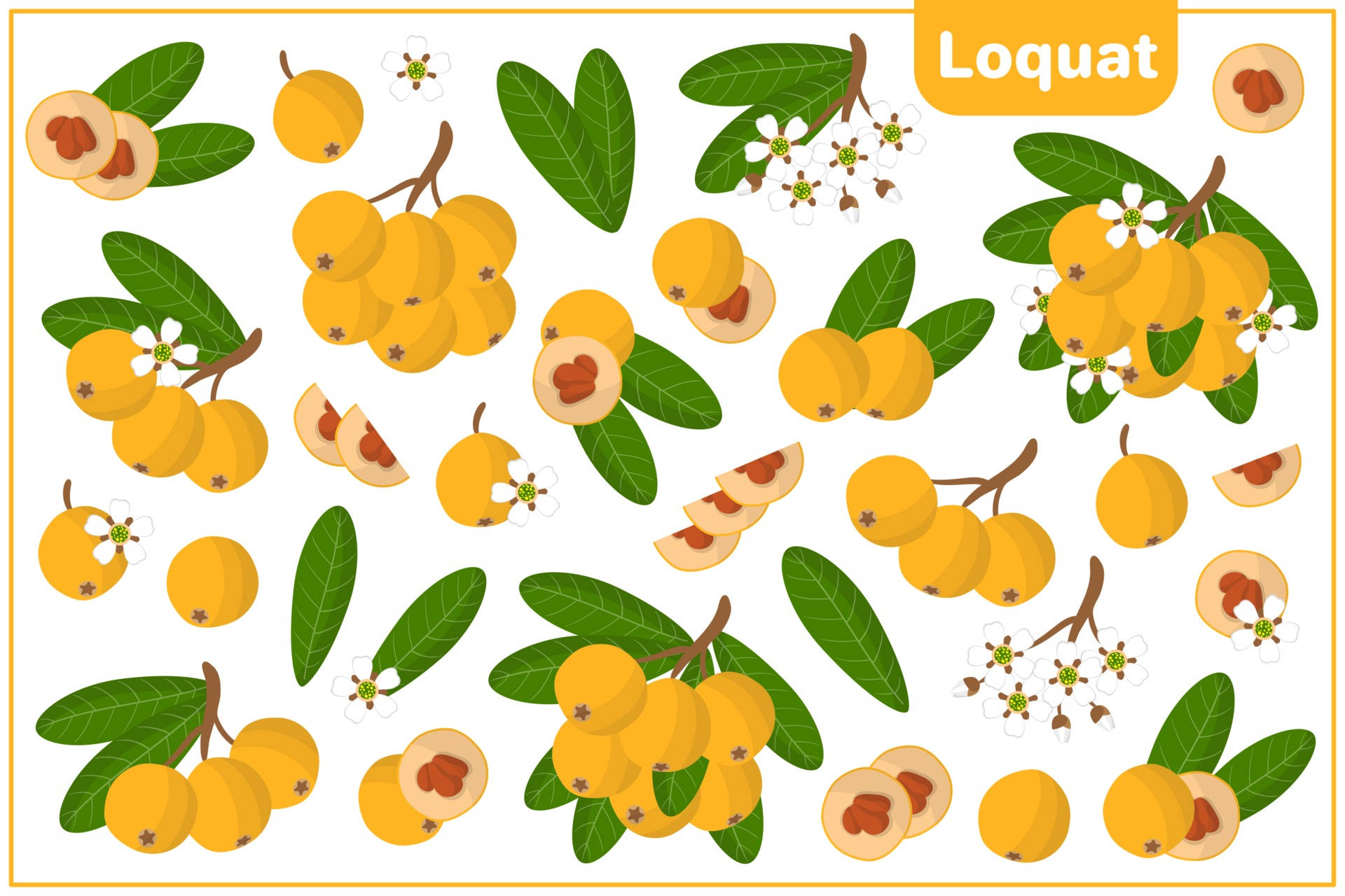 Loquat Fruits Animation Wallpaper