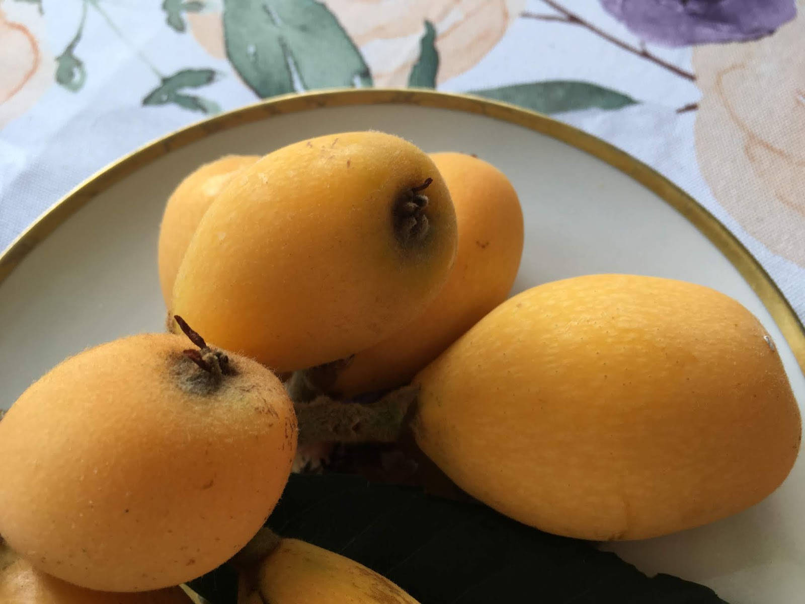 Loquat Fruits Oblong Shape Wallpaper