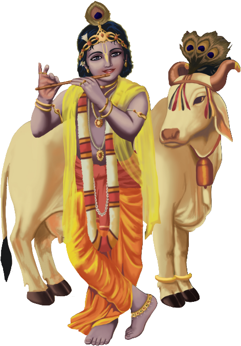 Lord Krishna Playing Flute With Cow PNG