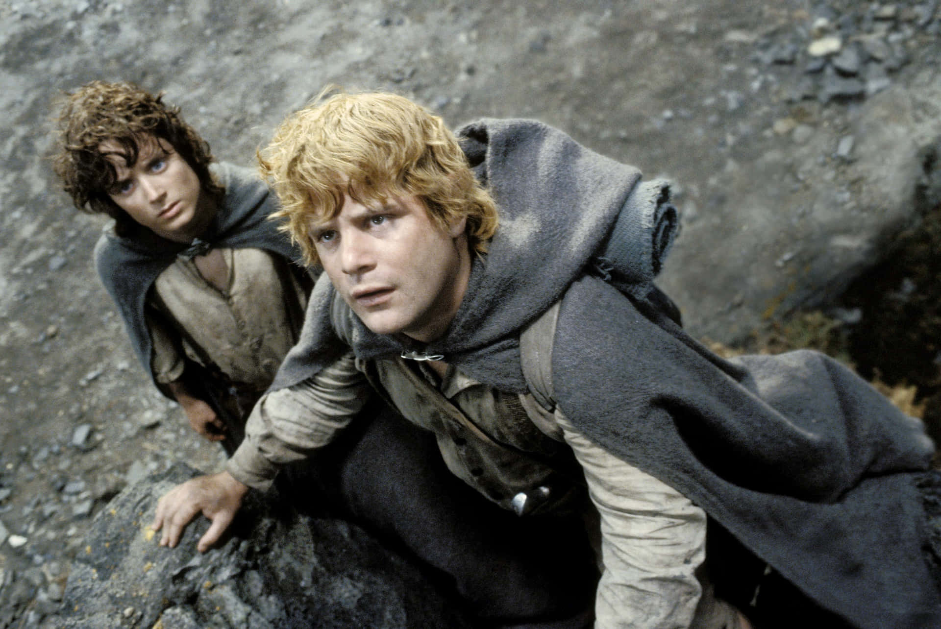 Blivmed Frodo Og Hans Broderskab På Deres Rejse For At Ødelægge Én Ring!