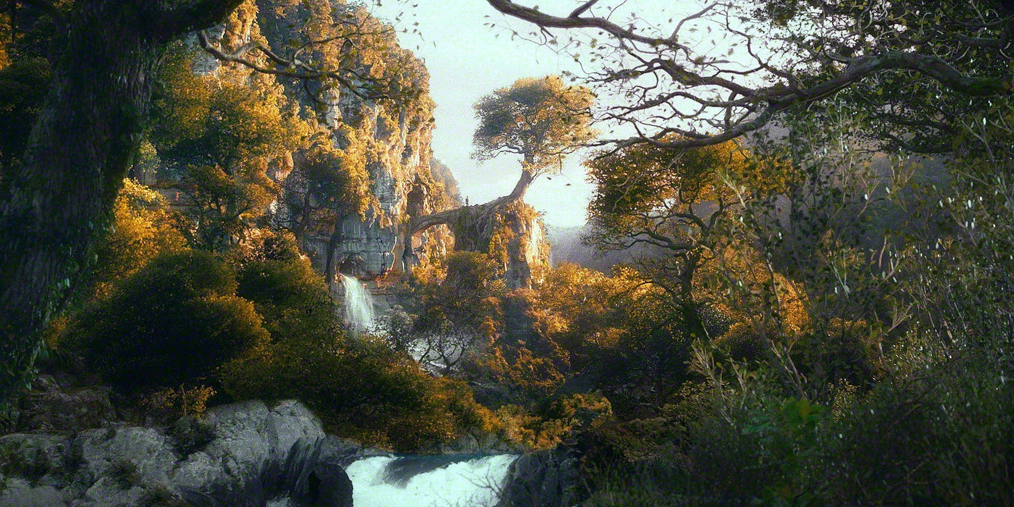 Lord Of The Rings Landscape Forest Wallpaper