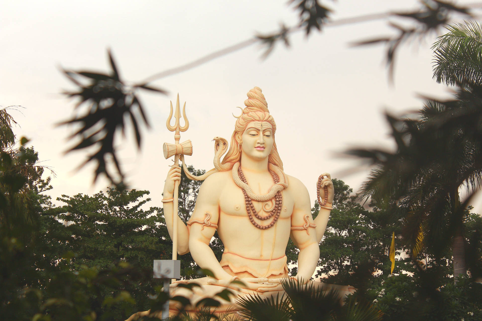 Lord Shiva 8k In Forest
