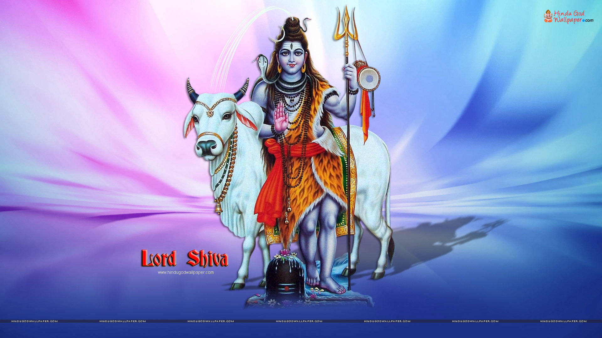 Lord Shiva And Cow