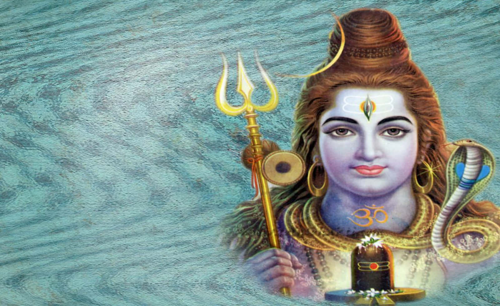 Hengivenhedtil Herren Shiva, Universets Herre.