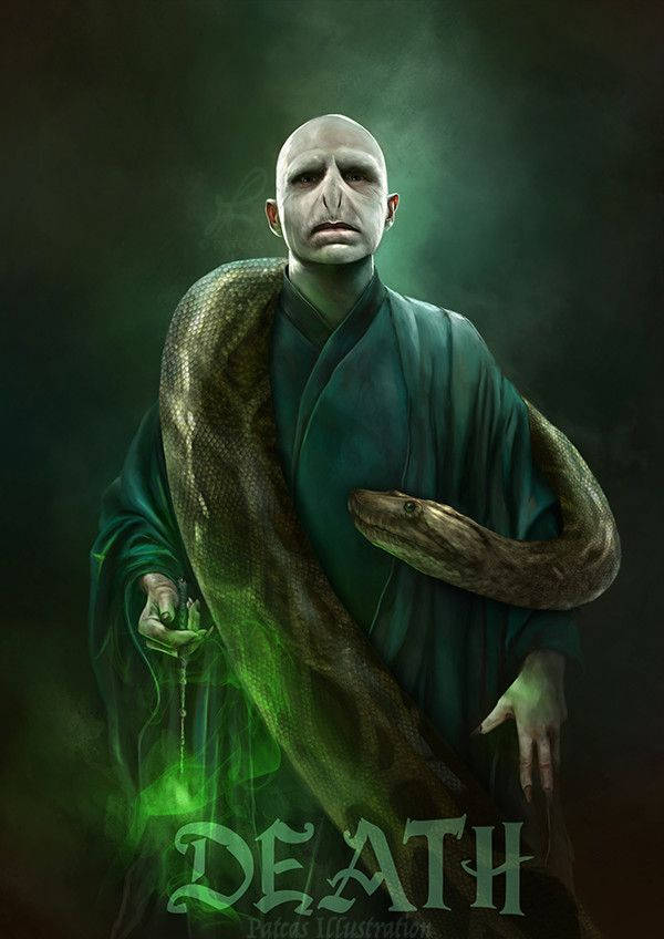 Artede Lord Voldemort Con Una Serpiente. Fondo de pantalla